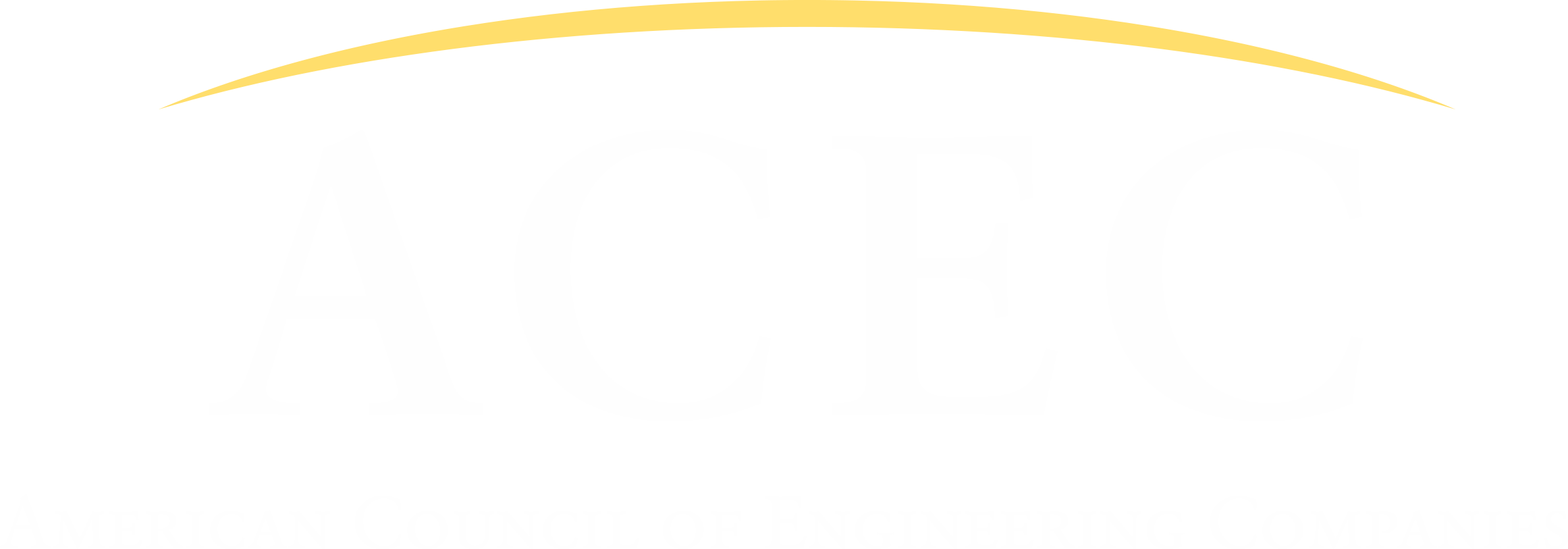 Footer Logo